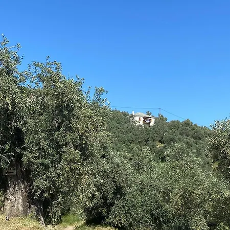 Steinhaus - Olivenhain, Hanglage Und Atemberaubender Panoramablick